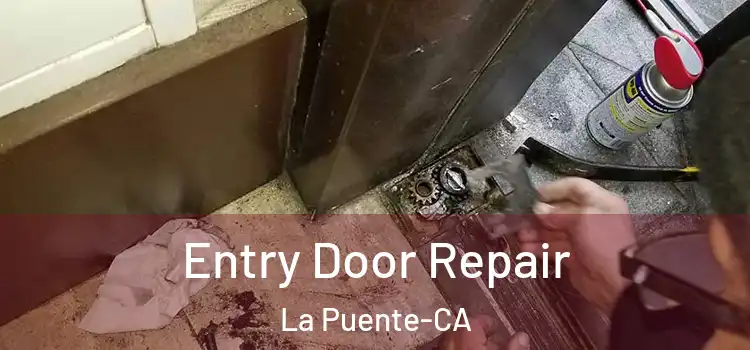  Entry Door Repair La Puente-CA