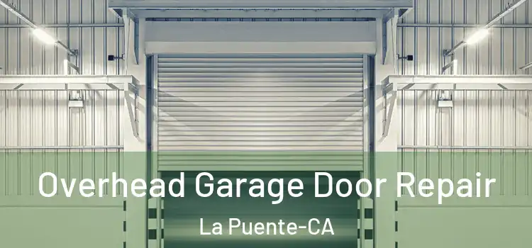  Overhead Garage Door Repair La Puente-CA