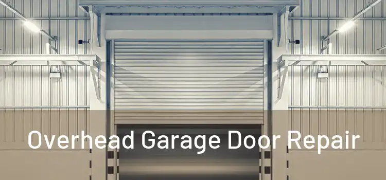  Overhead Garage Door Repair 